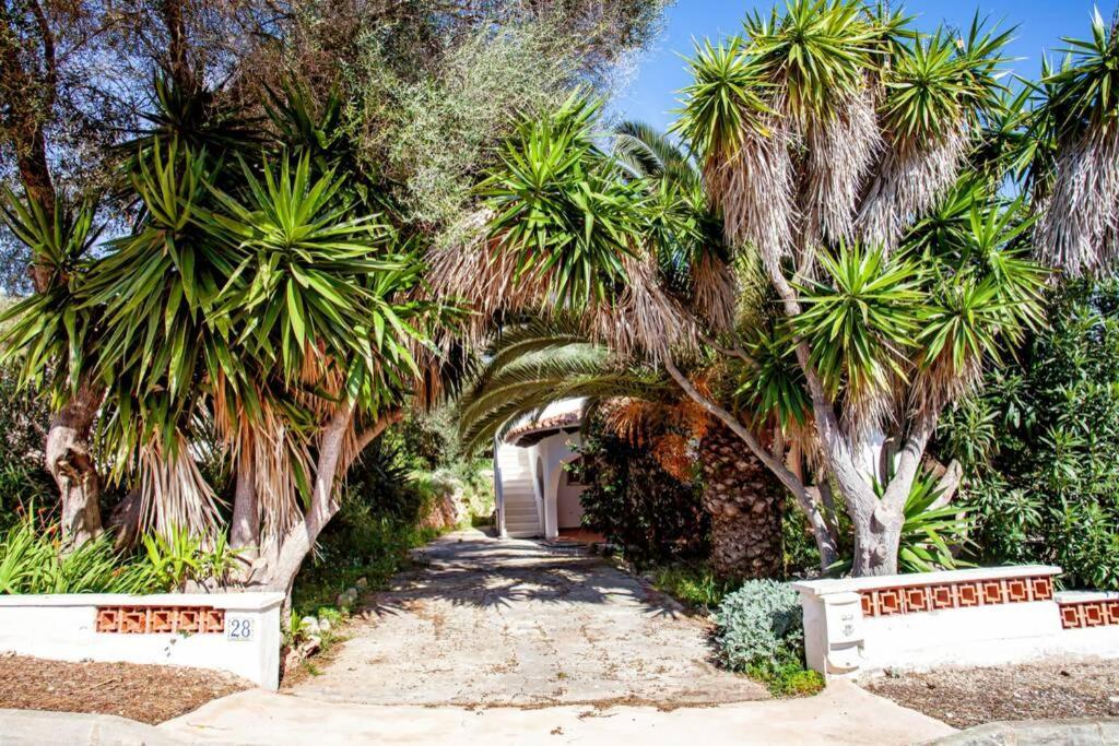 Villa Cecylia Es Canutells Екстериор снимка